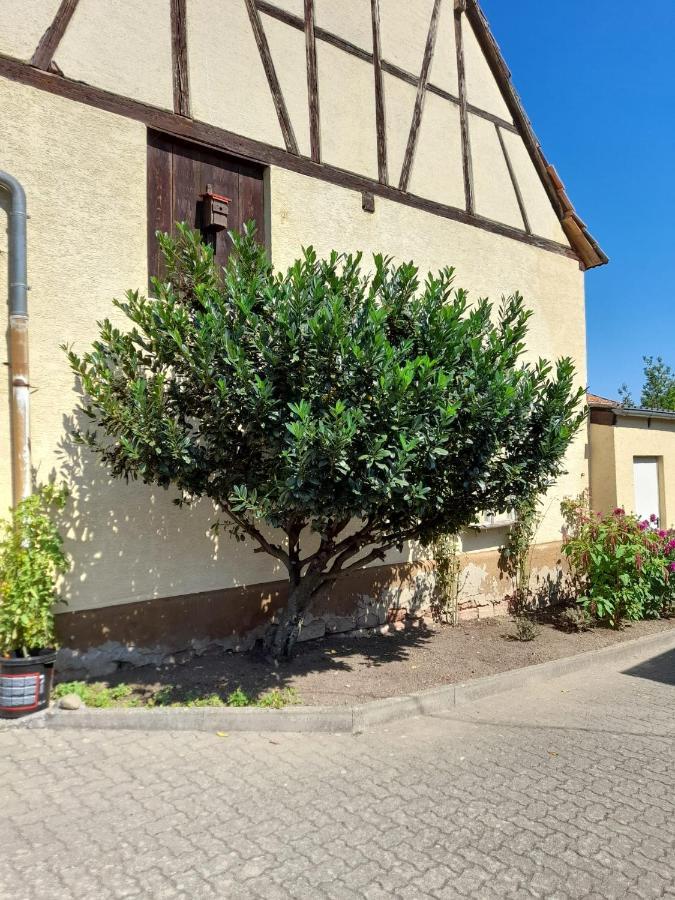 Ferienwohnung "Zum Alten Kuhstall" Oberhausen  Exterior photo